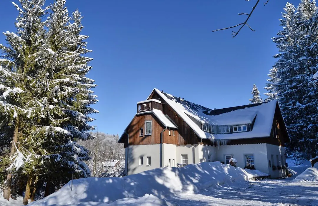Erzgebirgshotel Misnia Bärenfels-1